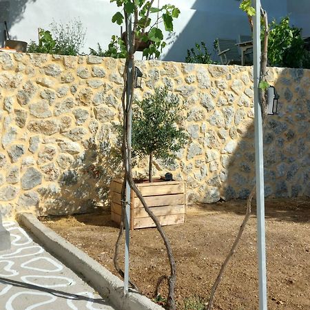 Rustic Private Cottage W/ King Bed In Galanado Naxos 외부 사진